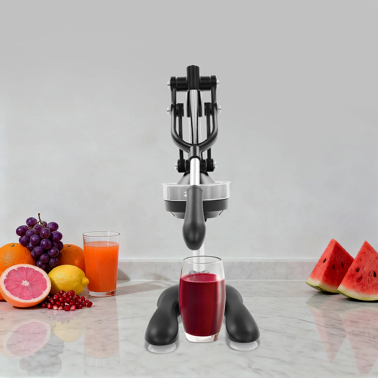 Presse-Agrumes Manuel Professionnel en Acier Inoxydable