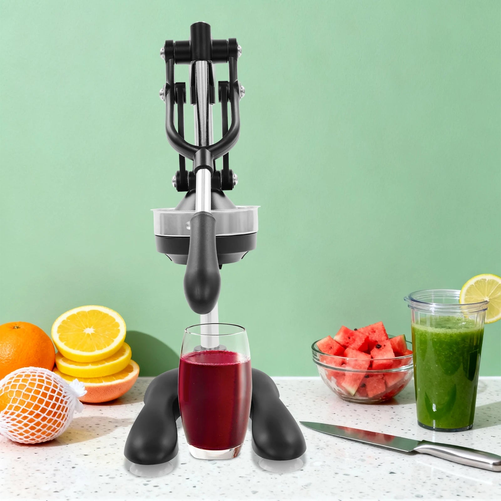 Presse-Agrumes Manuel Professionnel en Acier Inoxydable