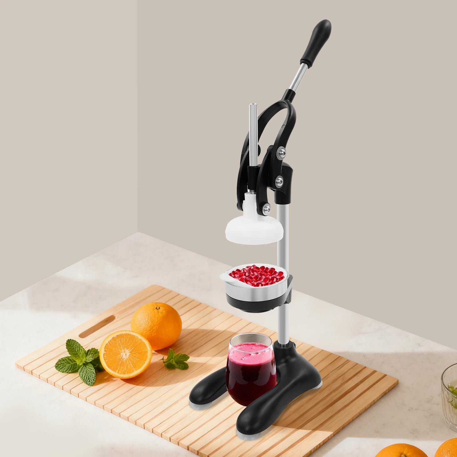 Presse-Agrumes Manuel Professionnel en Acier Inoxydable